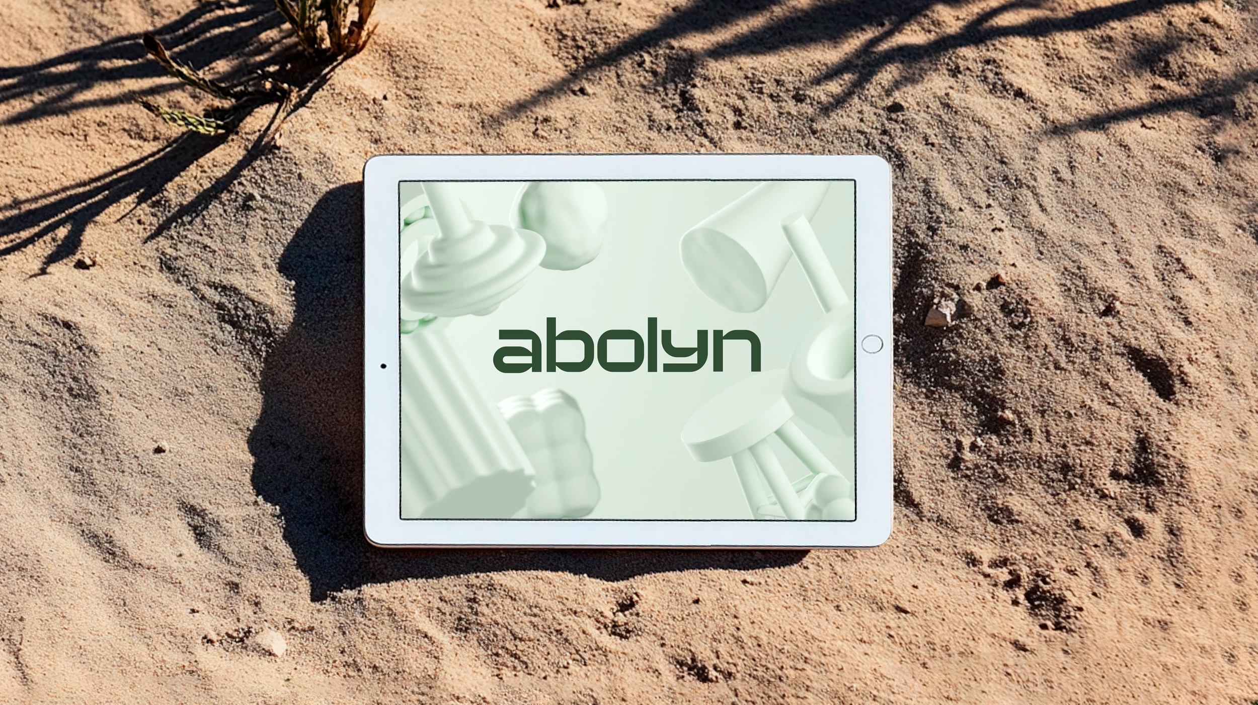 Abolyn — image 12